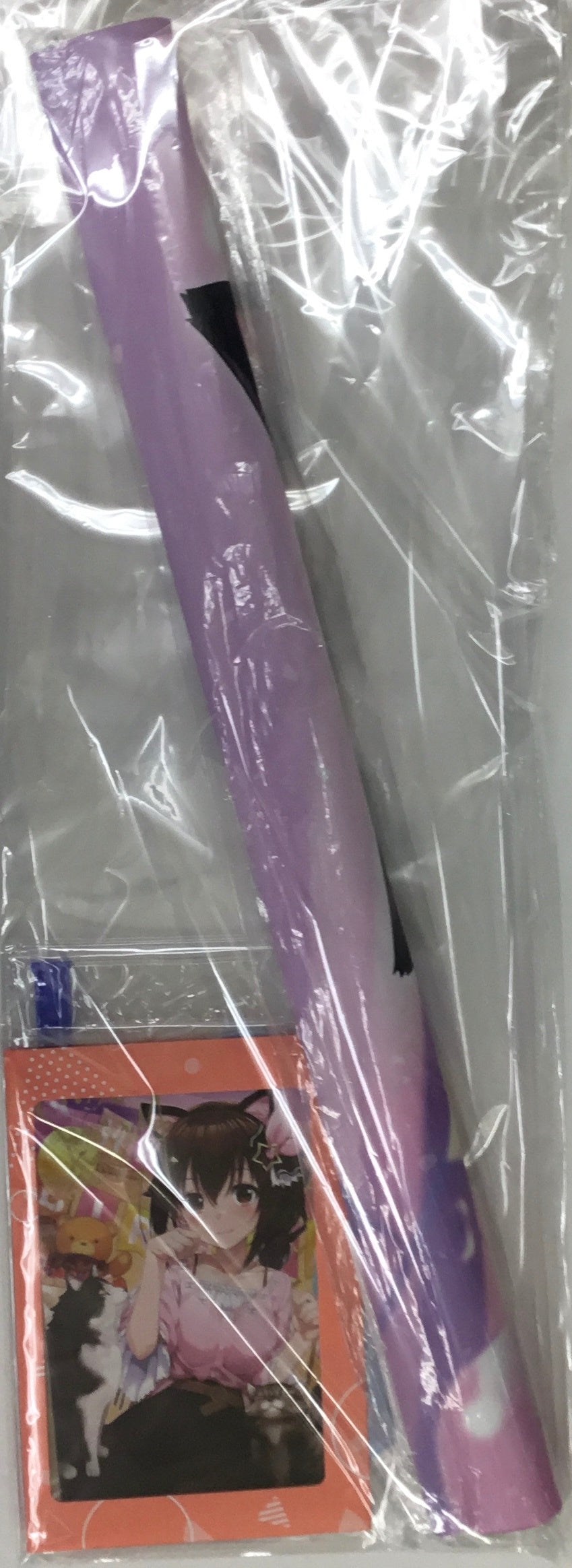 hololive hololive Birthday Anniversary 2022 Full Set Limited Quantity Ver. Tokino Sora