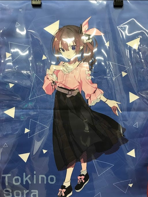 DARTSLIVE hololive DARTSLIVE Home Tapestry Tokino Sora