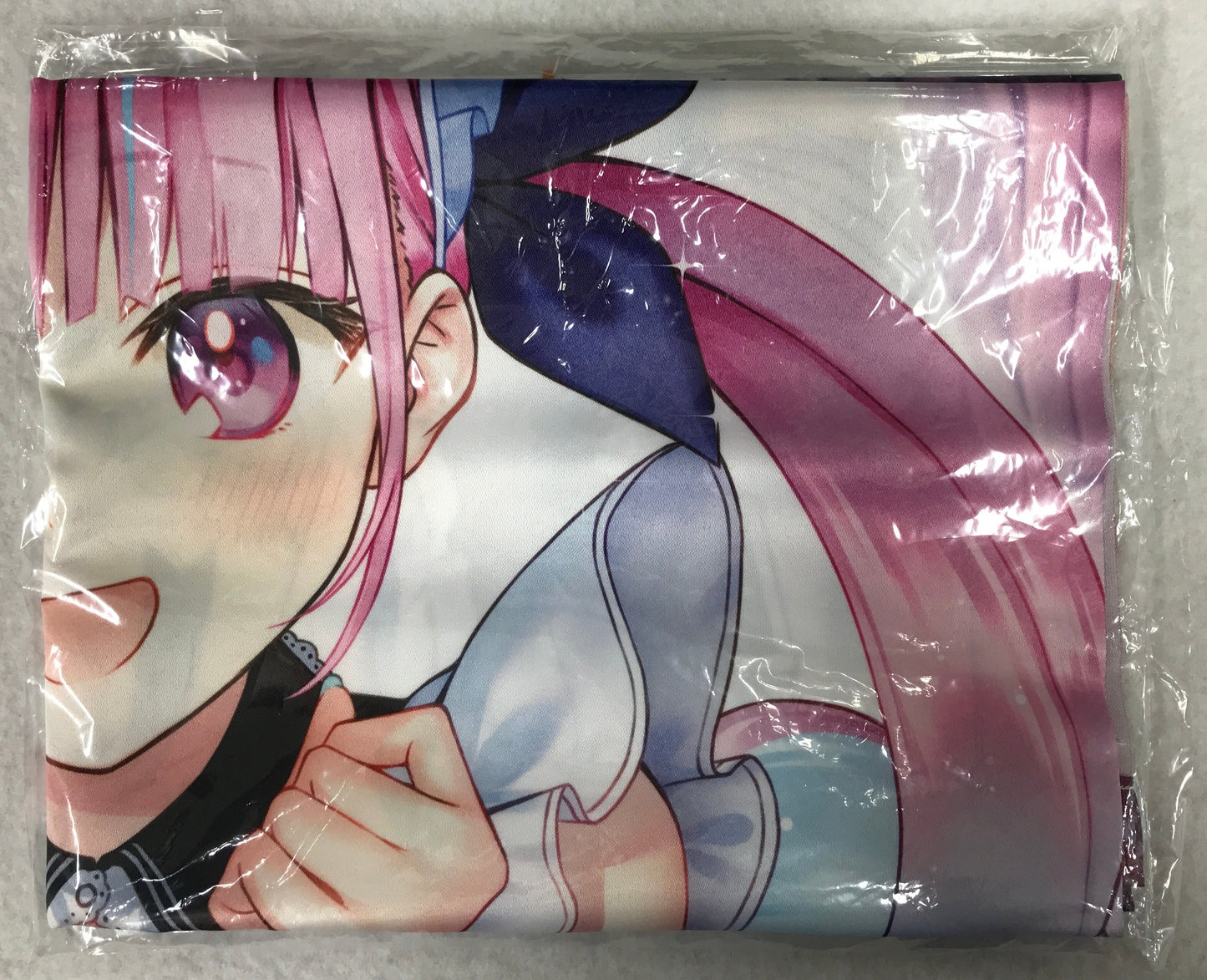 hololive Entergram Aquarium Hololive B2 Tapestry Minato Aqua Rakuten Books Bonus