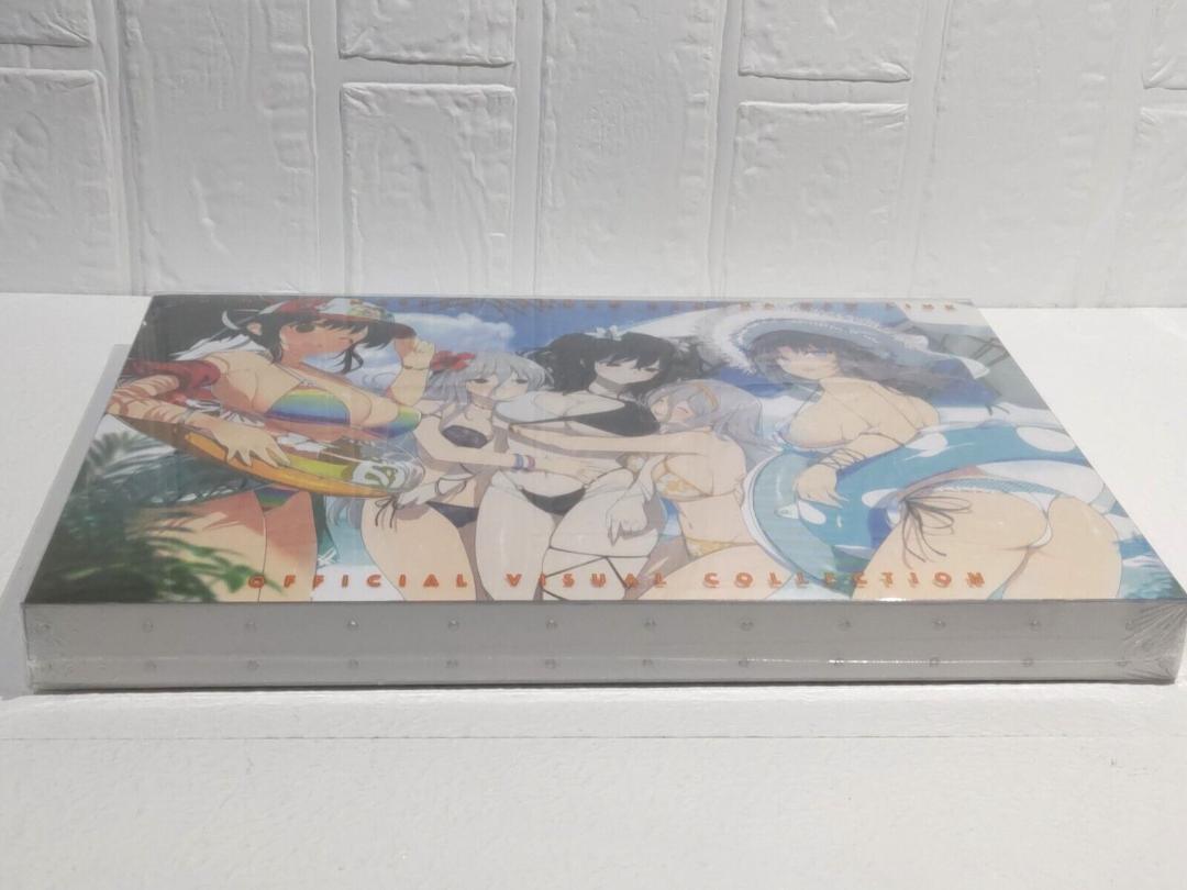 Marvelous SHINOVI MASTER SENRAN KAGURA NEW LINK OFFICIAL VISUAL COLLECTION
