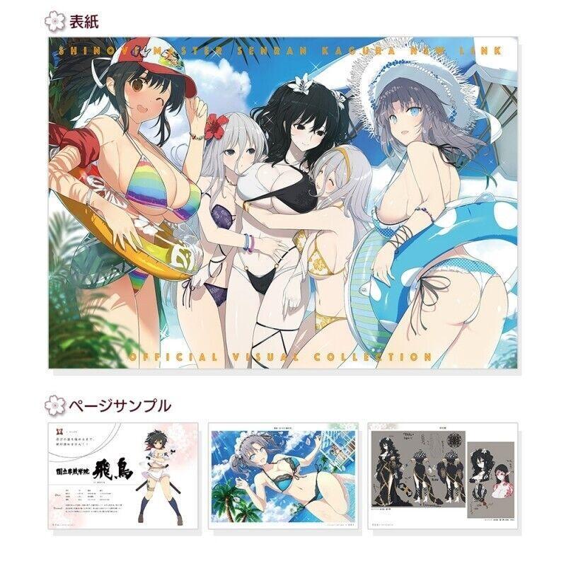 Marvelous SHINOVI MASTER SENRAN KAGURA NEW LINK OFFICIAL VISUAL COLLECTION