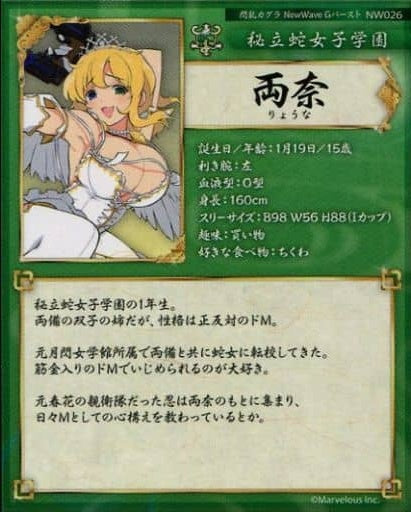 HOBBY STOCK Anime Trading Card/L RARE/Senran Kagura NewWave G Burst Real Card NW026 L RARE Ryona