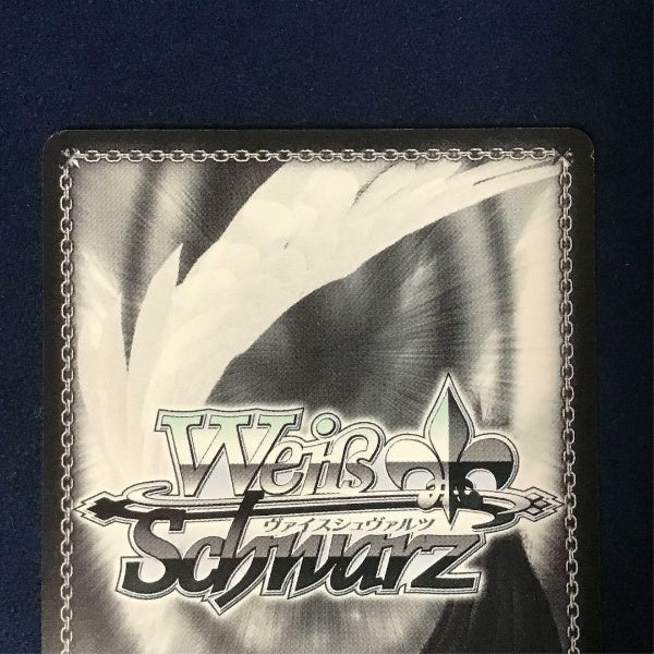 Signed Weiss Schwarz Sword Art Online Alicization Sinon Card SAO/S80-076SP SP