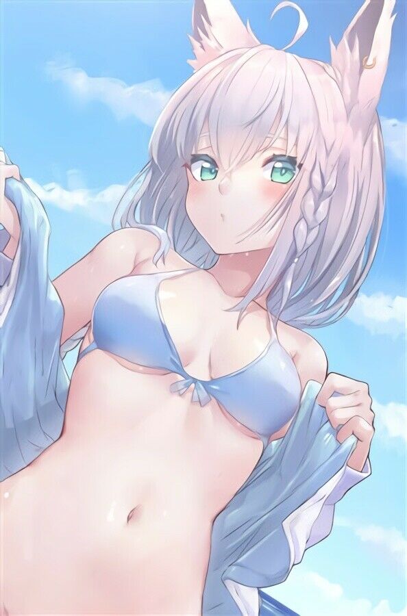 SEA SIDE Akasa Ai Holonium S Art Book hololive Marine Haato Pekora Fubuki