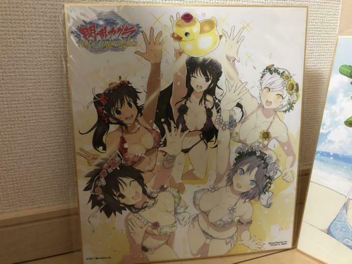 Senran Kagura Event lottery limited Shikishi art design paper Postcard Can Badge