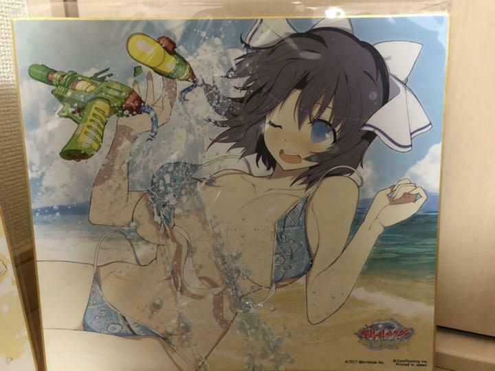 Senran Kagura Event lottery limited Shikishi art design paper Postcard Can Badge