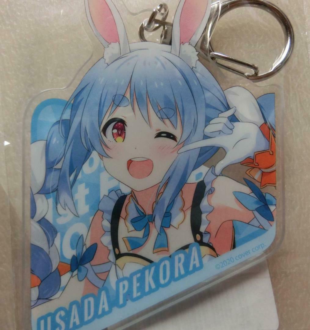 Hololive Usada Pekora Nonstop Story Limited Acrylic Keychain Size: 80mm x 80mm