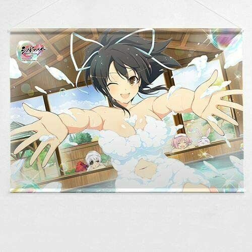 Shinobi Master Senran Kagura NEW LINK B2 Tapestry Asuka Shinobi Onsen hot spring