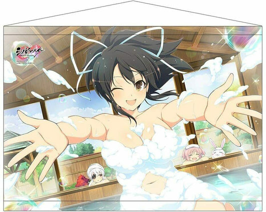 Shinobi Master Senran Kagura NEW LINK B2 Tapestry Asuka Shinobi Onsen hot spring