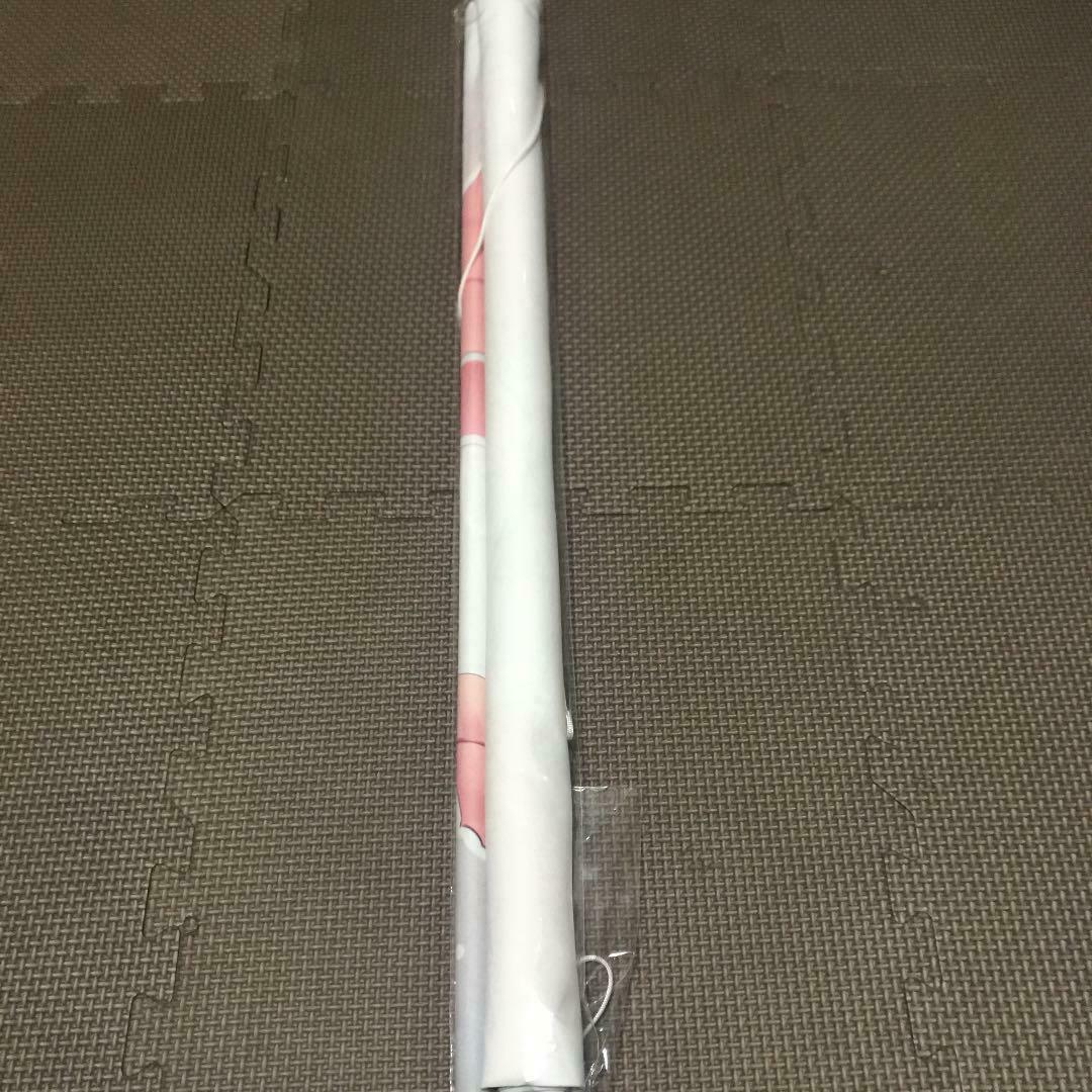 Hololive Usada Pekora WIREFRAME A1 Tapestry holoket limited Yuuki Hagure