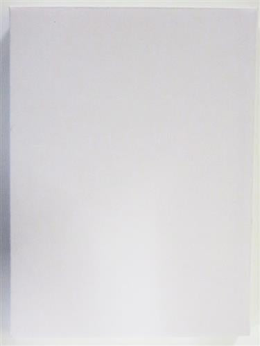 hololive hololive 1st Anniversary Memories Acrylic Panel Hakui Koyori