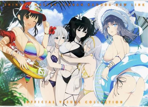 Marvelous SHINOVI MASTER SENRAN KAGURA NEW LINK OFFICIAL VISUAL COLLECTION