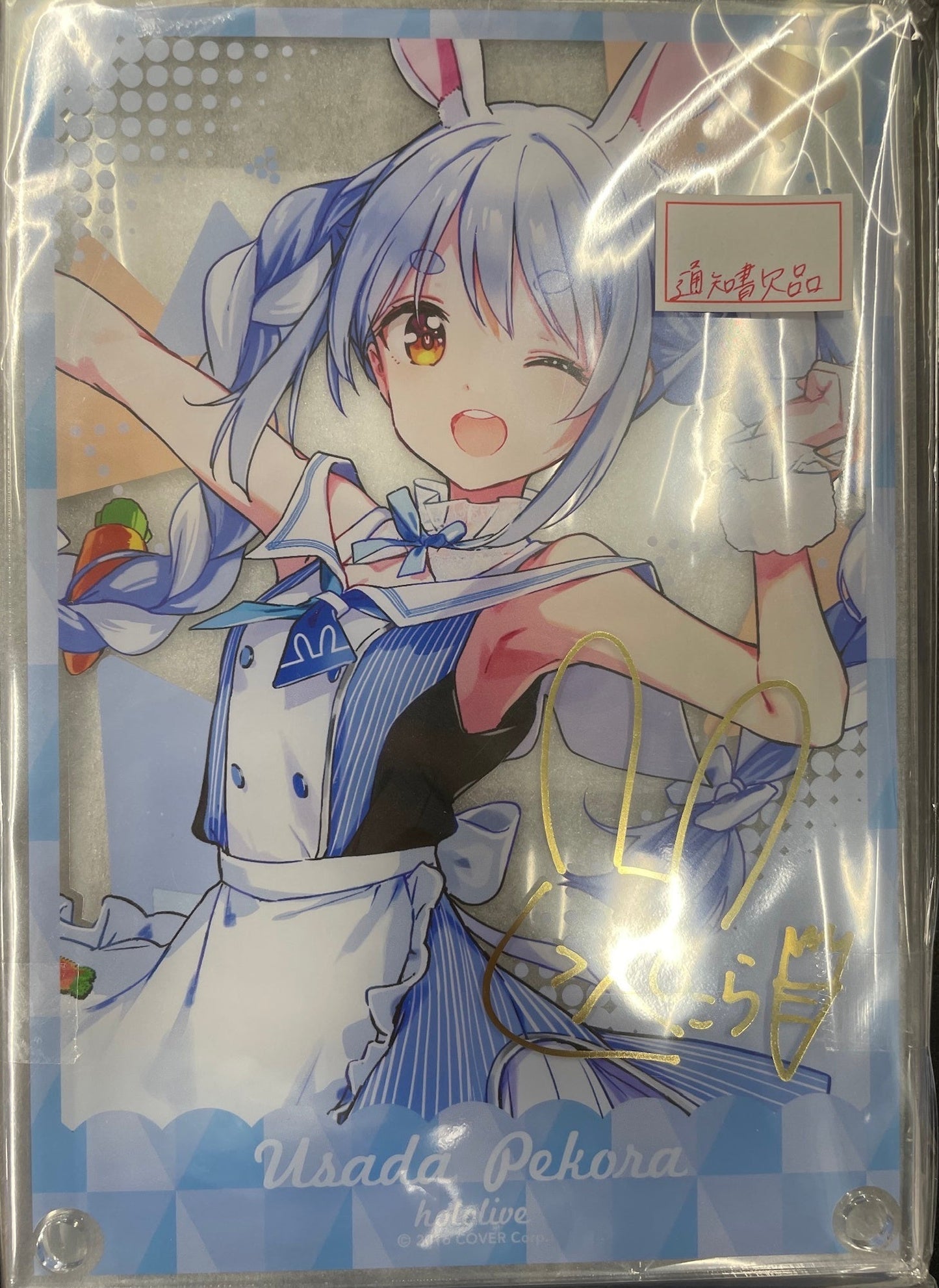 hololive Double Culture Partners Hololive Lottery Holo Cooking Refill Entertainment Chance Award Copy Signed Acrylic Panel Usada Pekora