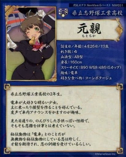 HOBBY STOCK Anime Trading Card/L RARE/Senran Kagura NewWave G Burst Real Card NW051 L RARE Motochika