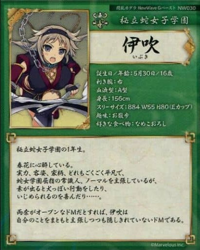 HOBBY STOCK Anime Trading Card/L RARE/Senran Kagura NewWave G Burst Real Card NW030 L RARE Ibuki