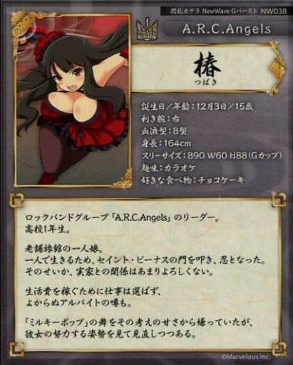 HOBBY STOCK Anime Trading Card/L RARE/Senran Kagura NewWave G Burst Real Card NW038 L RARE Tsubaki