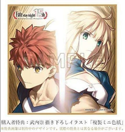 Fate/stay night ANIPLEX 15th Anniversary Figure The Path Limited from Japan NEW