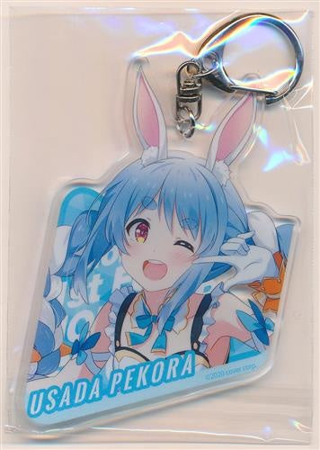hololive hololive nonstop acrylic key chain Usada Pekora hololive 1st fes. nonstop story hololive 1st fes. nonstop story