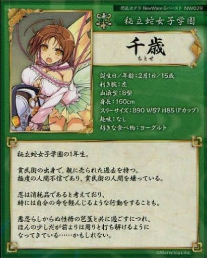 HOBBY STOCK Anime Trading Card/L RARE/Senran Kagura NewWave G Burst Real Card NW029 L RARE Chitose