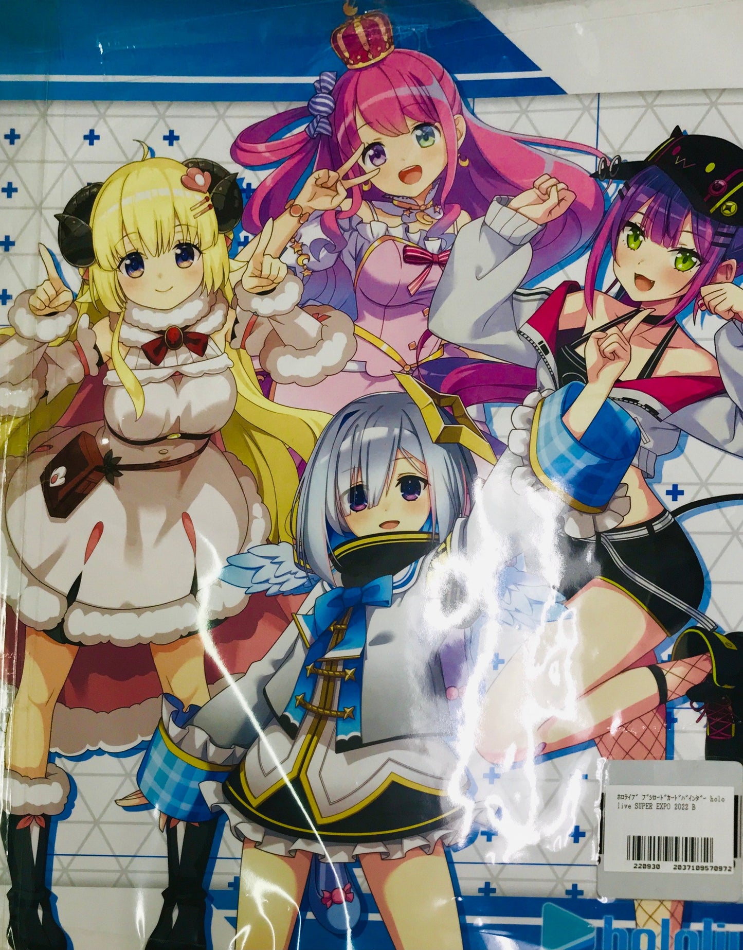 hololive hololive Bushiroad Card Binder hololive SUPER EXPO 2022 B hololive SUPER EXPO 2022