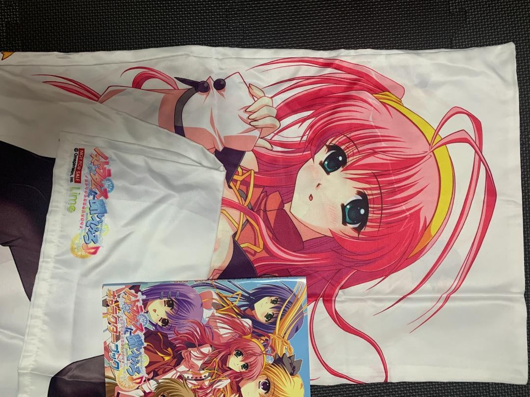 ★44 purchase bonus system body pillow cover used genuine product