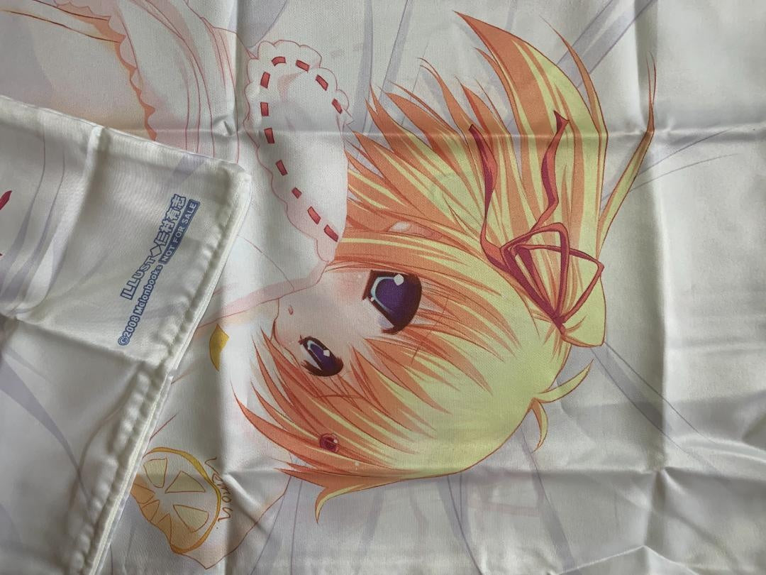★36 purchase bonus system body pillow cover used genuine product