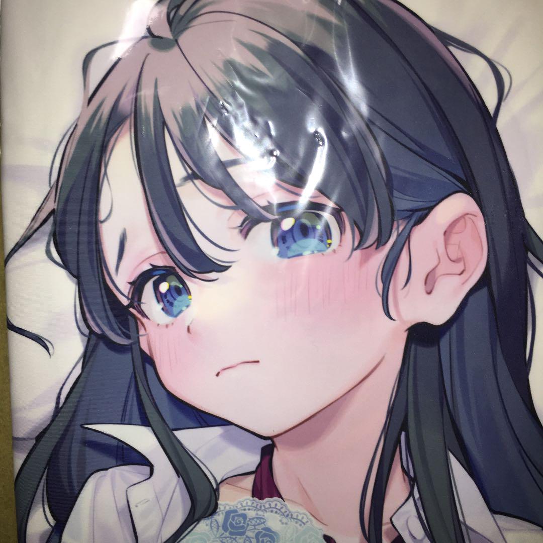 Haru Dakimakura cover