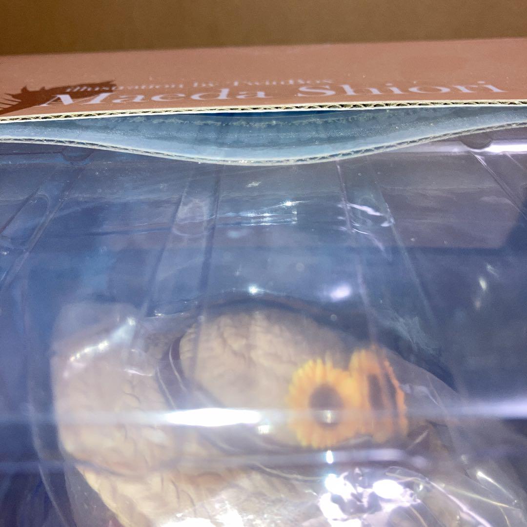 Unopened TwinBox illustration Shiori Maeda complete figure