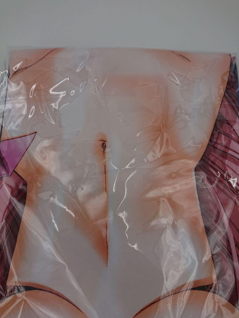 Satoshi Urushihara Diva Dakimakura Cover / Lacus Clyne