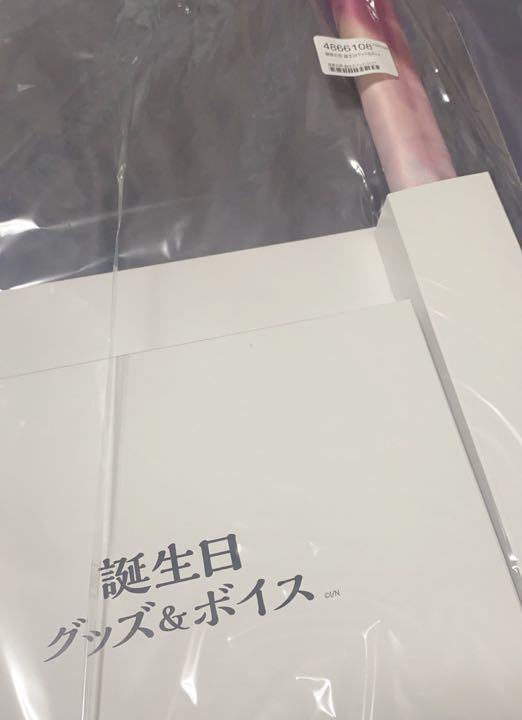 Nijisanji Kana Sukoya Birthday Goods Kayahara-sensei 2021 All Set