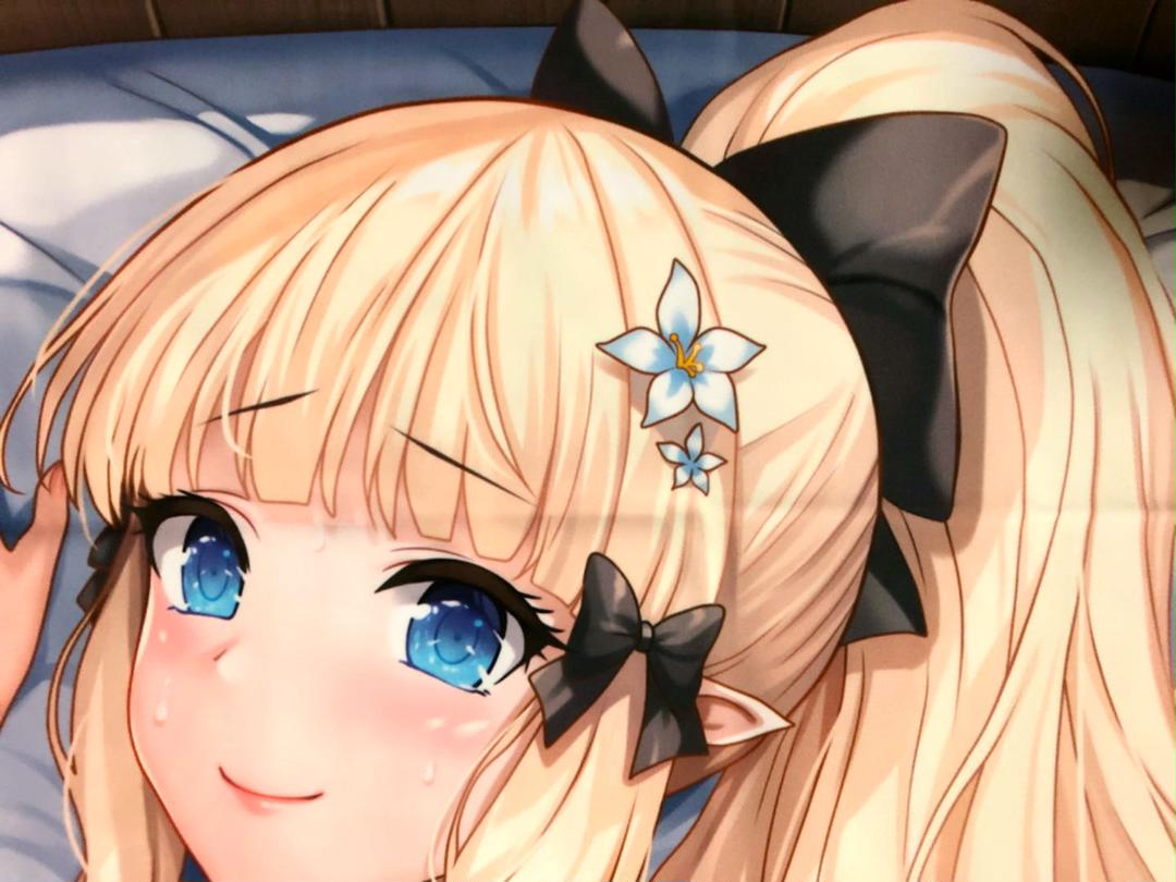 Princess Connect Salen Dakimakura Cover