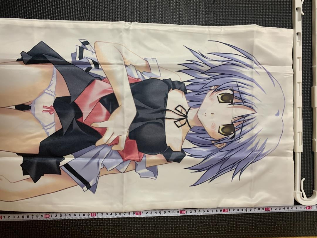 ★03 purchase bonus system body pillow cover used genuine product