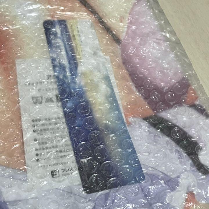 Setoran Serious is a Proud Master and Muguwai Dakimakura Cover ex version