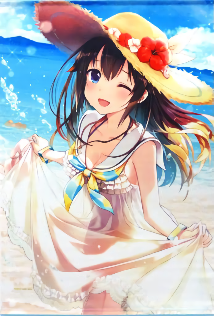 hololive Tokino Sora Tapestry 2 Types Set Summer Azur Lane Collaboration