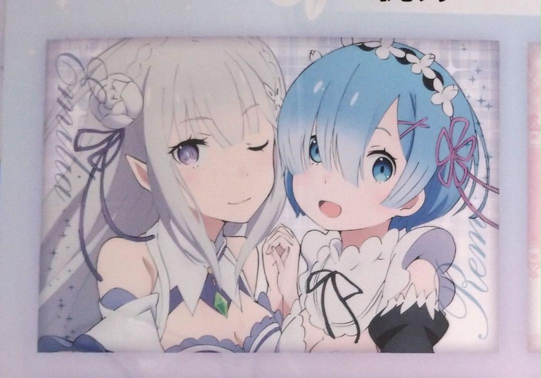 Re: Life in a Different World from Zero Pillow Cover