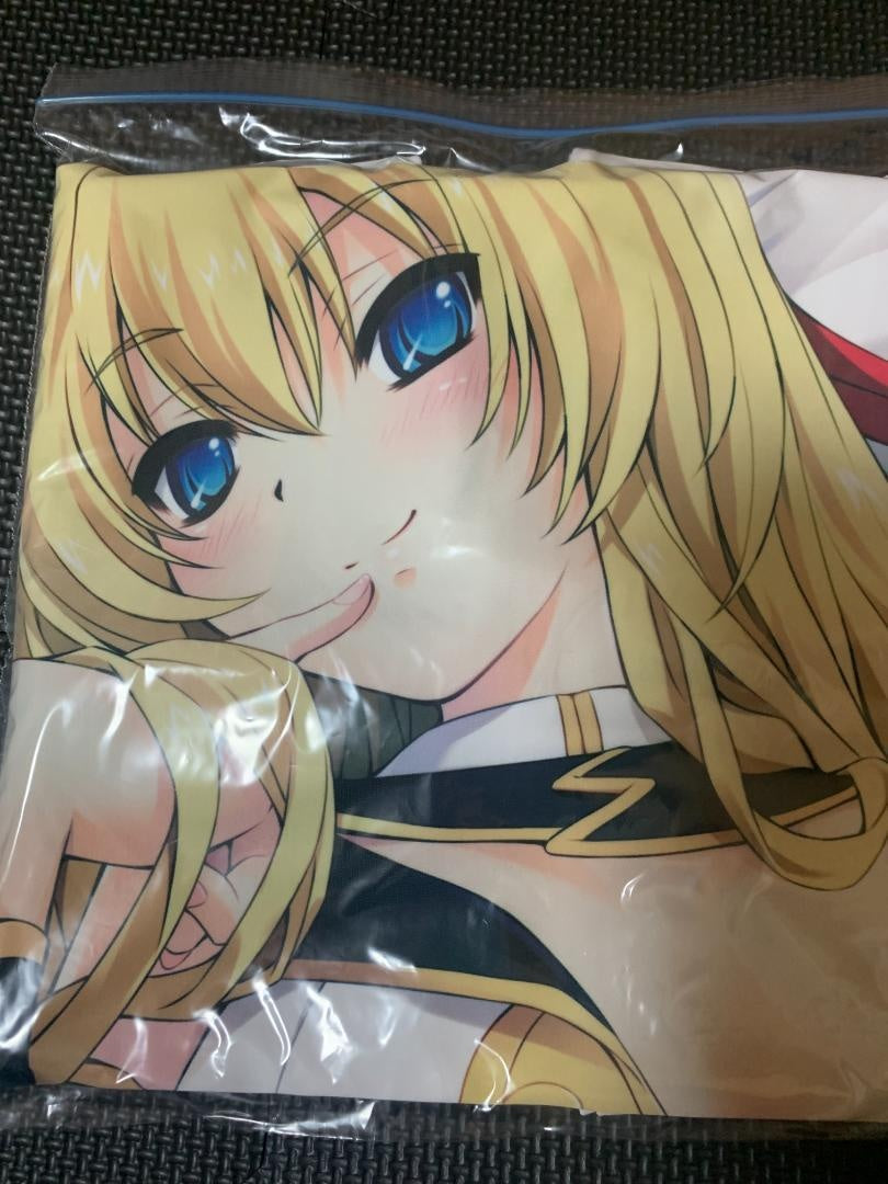 She does not pray to high heaven Amaterasu (Escudo) used genuine body pillow cover