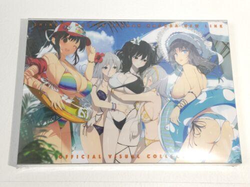 Marvelous SHINOVI MASTER SENRAN KAGURA NEW LINK OFFICIAL VISUAL COLLECTION