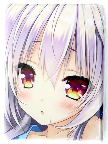 Lump of Sugar Wakabairo no Quartet Dakimakura cover Ai 2way tricot version Getchuya bonus