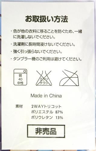 Lump of Sugar Wakabairo no Quartet Dakimakura cover Ai 2way tricot version Getchuya bonus