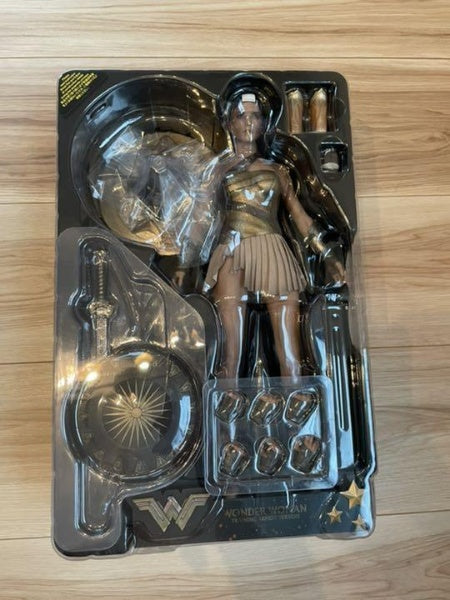 Wonder Woman Training Armor Version Gal Gadot 1/6 Figure MMS424 Hot Toys