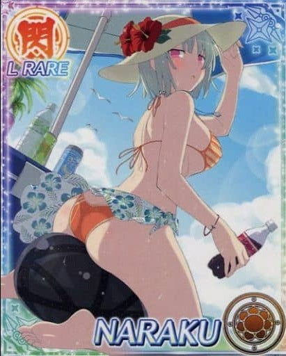 HOBBY STOCK Anime Trading Card/L RARE/Senran Kagura NewWave G Burst Real Card NW079 L RARE Naraku