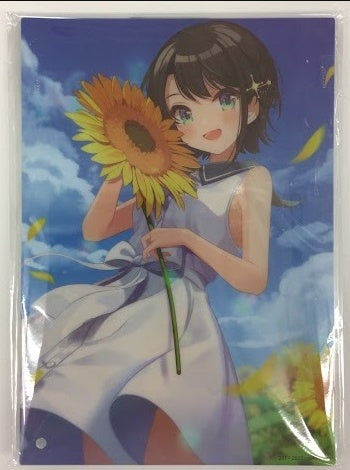 hololive hololive acrylic panel Oozora Subaru