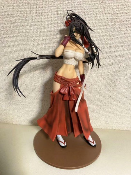 Ikki Tousen Kanu Unchou Comic Volume 13 Cover Picture 1/6 scale Daiki Kougyou