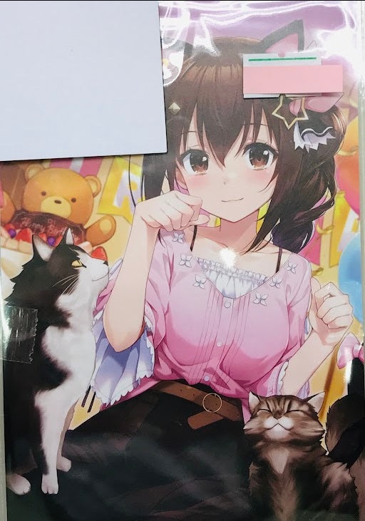 hololive hololive Birthday Anniversary 2022 Handwritten Signatureed Postcard Tokino Sora