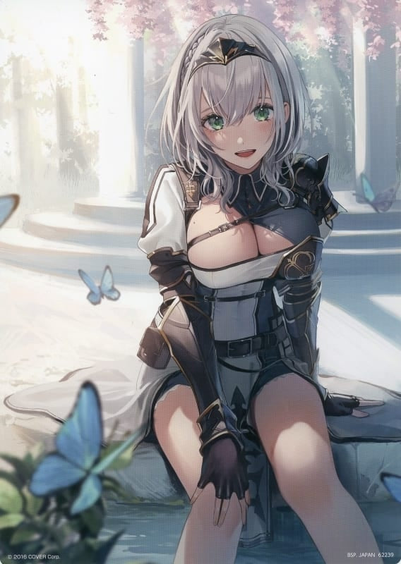 BANDAI SPIRITS miscellaneous goods illustration board set 5-disc set Ichiban Kuji Virtual YouTuber Hololive Last One Award