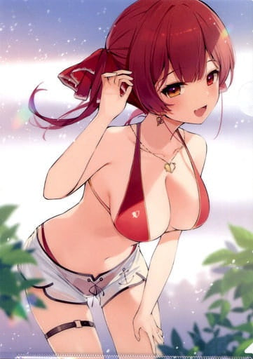 Animate/KADOKAWA Clear File Houshou Marine A4 Clear File Virtual YouTuber Hololive Houshou Marine Fan Book Comic Anthology Treasure Pirate Diary Animate Purchase Bonus