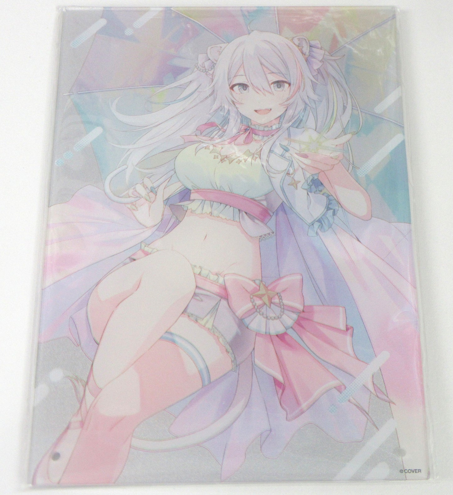 hololive hololive 1st Anniversary Premium Acrylic Panel Shishiro Botan