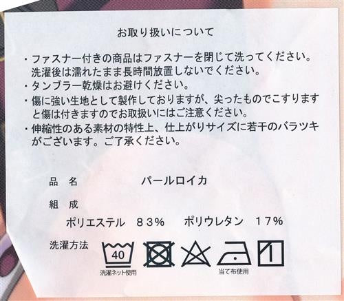 minori The beast of the day is a slightly naughty body pillow cover Runa Tomose Electric Festival 2018 WINTER in Takadanobaba