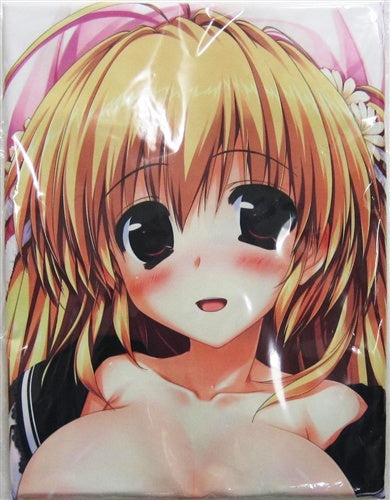 Clochette Kamikaze Explorer Fuka Himekawa Powapowa Magical Boobs Oppai Dakimakura Cover Pillow Case Fuka Himekawa Akihabara Electric Festival 2011 WINTER in Heiwajima