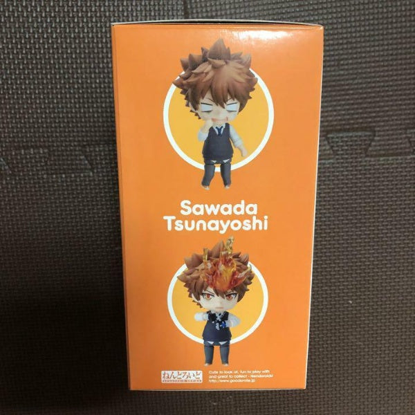 Nendoroid tutor Hitman REBORN! Tsunayoshi Sawada Figure #912 FREEing